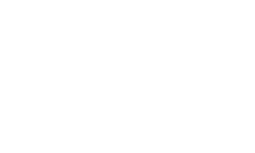 Maestro