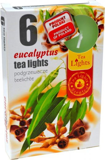 Svíčka čajová vonná EUKALYPTUS (6ks)