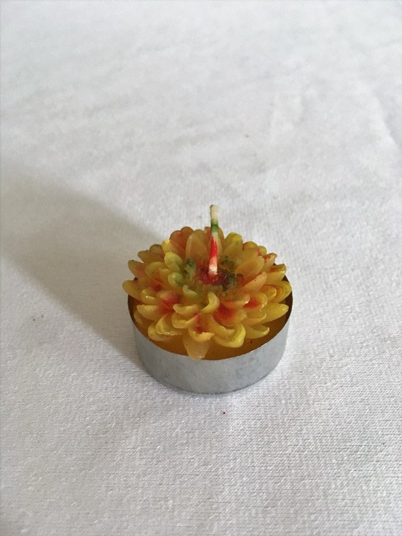 Malá svíčka kytka